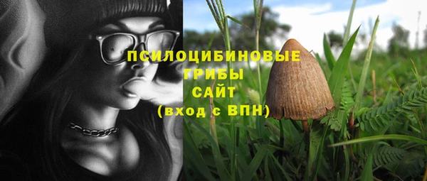 соль ск Бородино