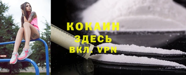 индика Бугульма