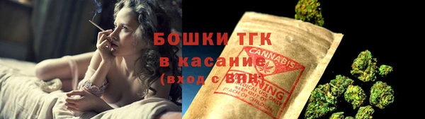 соль ск Бородино