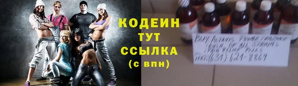 индика Бугульма