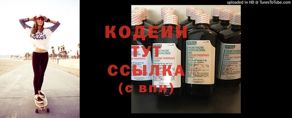 индика Бугульма