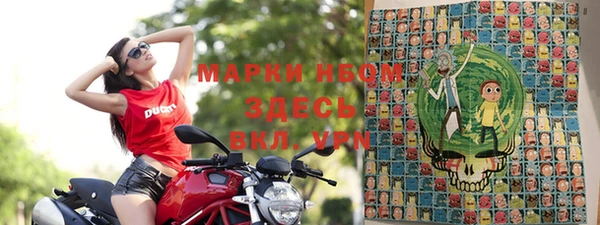 индика Бугульма