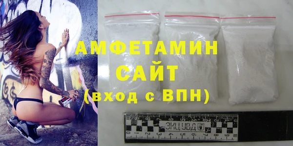 индика Бугульма