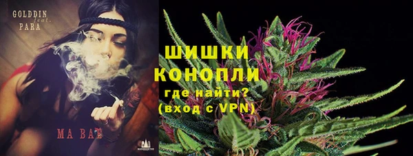 индика Бугульма